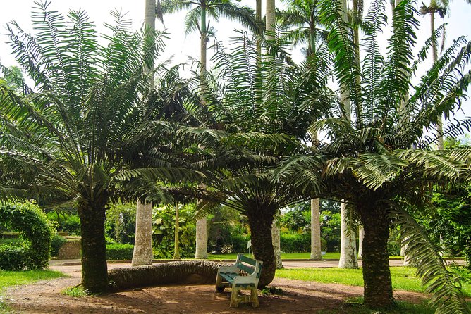 Escape Accra City to Aburi Gardens and Tetteh Quarshie Cocoa Farms - Who will enjoy this outing most