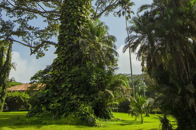 Escape Accra City to Aburi Gardens and Tetteh Quarshie Cocoa Farms - Booking, cancellation, and a sensible plan
