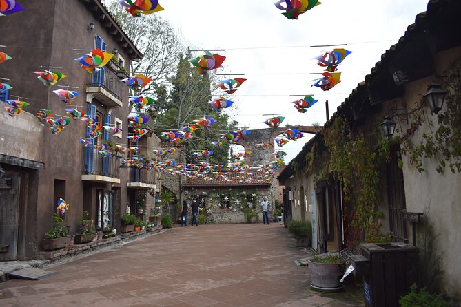 Ex hacienda, rancho de lavanda y Val'Quirico (private tour) - Who will enjoy this day most