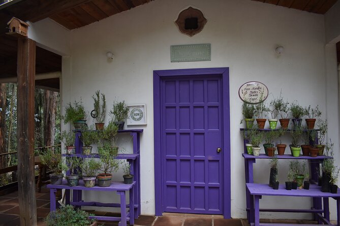 Ex hacienda, rancho de lavanda y Val'Quirico (private tour) - Rancho San Martín Lavanda: fields, fragrance, and soap making