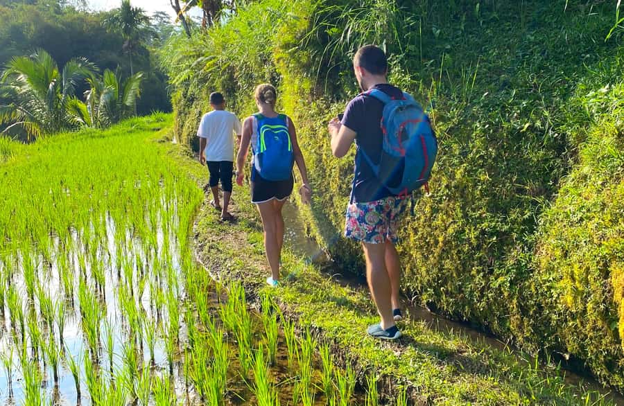 Exclusive Tetebatu: Waterfall, Rice Fields, Monkey & Weaving - Key points to know before booking