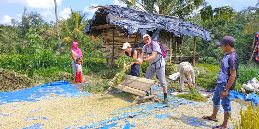 Exclusive Tetebatu: Waterfall, Rice Fields, Monkey & Weaving - Why Tetebatu makes a good day away from the coast