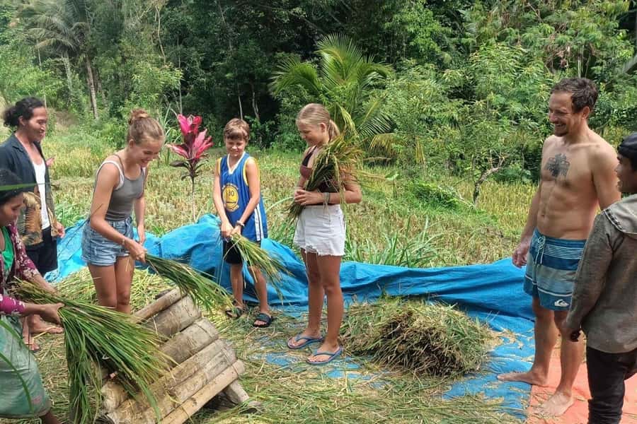 Exclusive Tetebatu: Waterfall, Rice Fields, Monkey & Weaving - Learning the craft at Sukarara Village