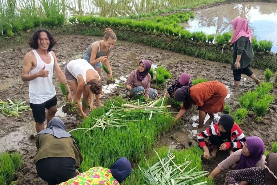 Exclusive Tetebatu: Waterfall, Rice Fields, Monkey & Weaving - The guides and private transport