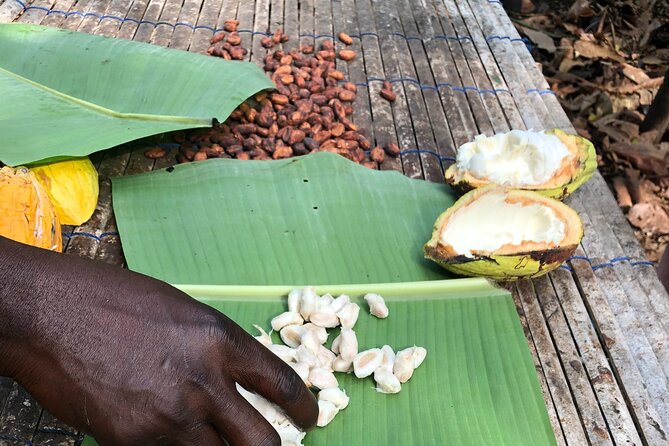 Experience Boti Waterfalls, Aburi Botanical Gardens & Tetteh Quarshie Cocoa Farm - The Boti Hills Hike: Read This Before Booking