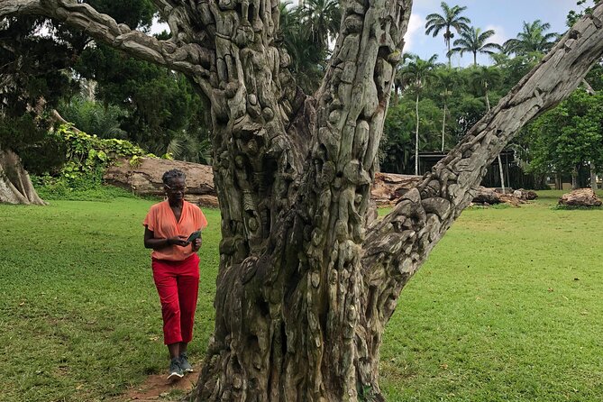 Experience Boti Waterfalls, Aburi Botanical Gardens & Tetteh Quarshie Cocoa Farm - Seeing Boti Waterfalls in the Right Season