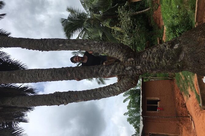 Experience Boti Waterfalls, Aburi Botanical Gardens & Tetteh Quarshie Cocoa Farm - The Quieter Stop at Asenema Waterfalls