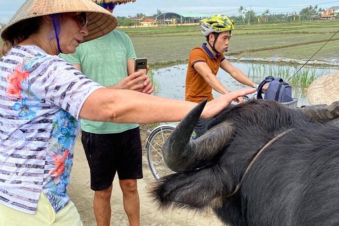 Experience Buffalo Ride and Farmer in Hoi An - A Short Ride Into Hoi An Farm Life