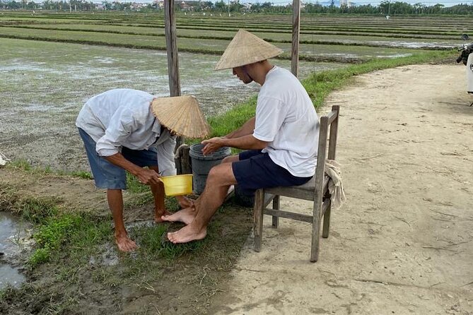 Experience Buffalo Ride and Farmer in Hoi An - Meeting the Farmer and Reaching the Paddy