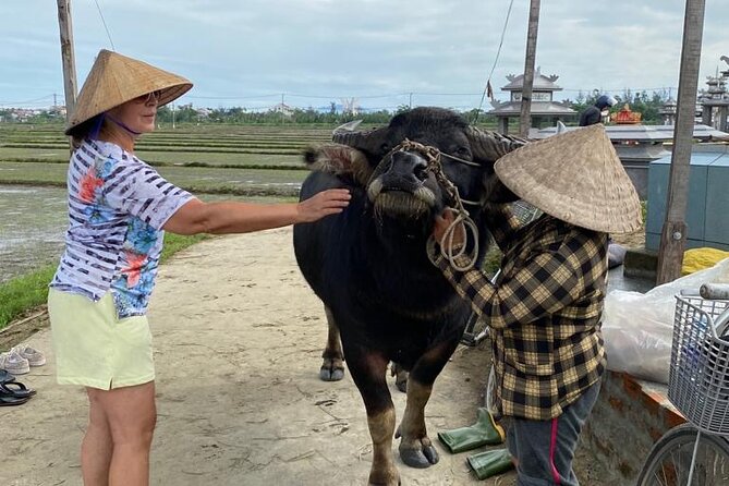 Experience Buffalo Ride and Farmer in Hoi An - Why the $12 Price Makes Sense