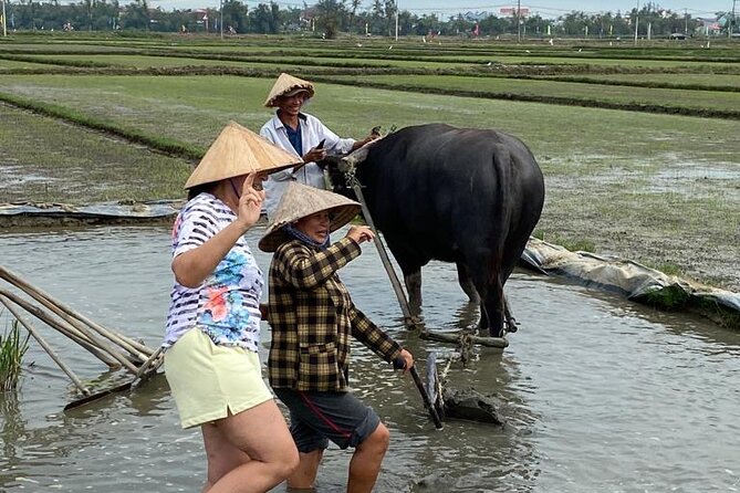 Experience Buffalo Ride and Farmer in Hoi An - Communication Without a Formal Guide
