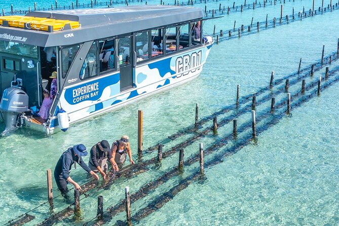 Experience Coffin Bay Oyster Farm and Bay Tour - Why the oyster farm is the heart of the outing