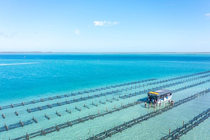 Experience Coffin Bay Oyster Farm and Bay Tour - Guides who explain the work instead of reading a script