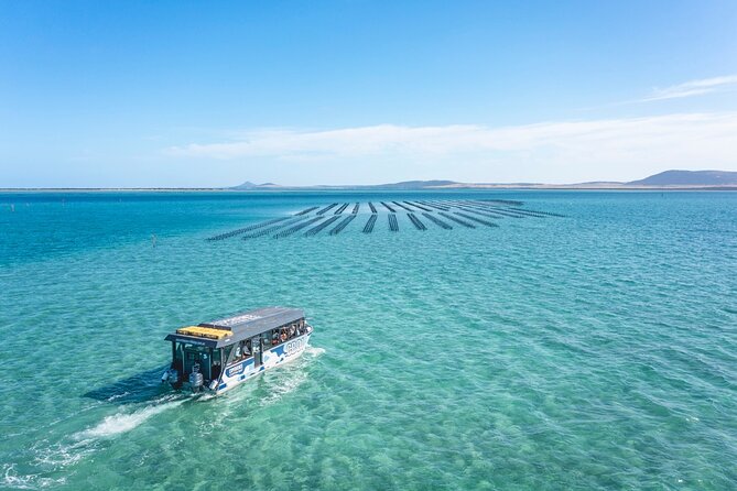 Experience Coffin Bay Oyster Farm and Bay Tour - Is the $132.69 price good value?