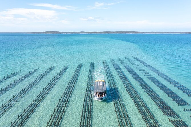 Experience Coffin Bay Oyster Farm and Bay Tour - Who will enjoy this Coffin Bay tour most?