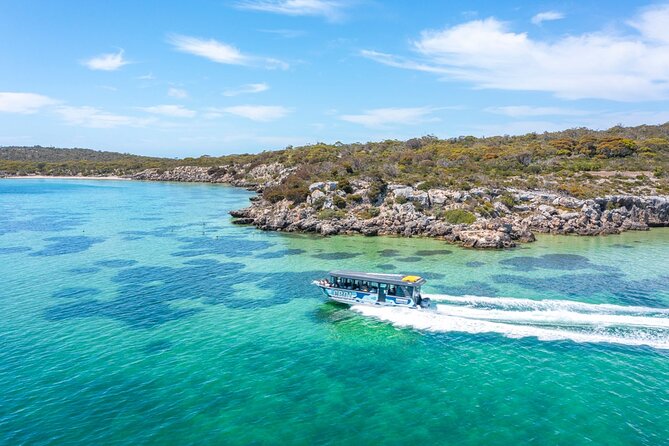Experience Coffin Bay Oyster Farm and Bay Tour - Should you book the oyster farm and bay tour?