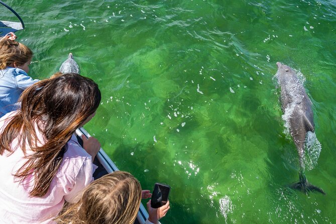Experience Coffin Bay Short and Sweet Oyster Farm Tour - Learning about Native Angasi reef restoration