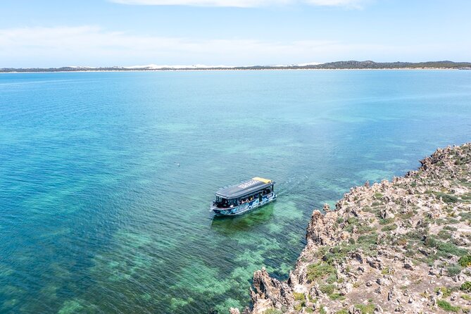 Experience Coffin Bay Short and Sweet Oyster Farm Tour - Who will enjoy this 90-minute outing