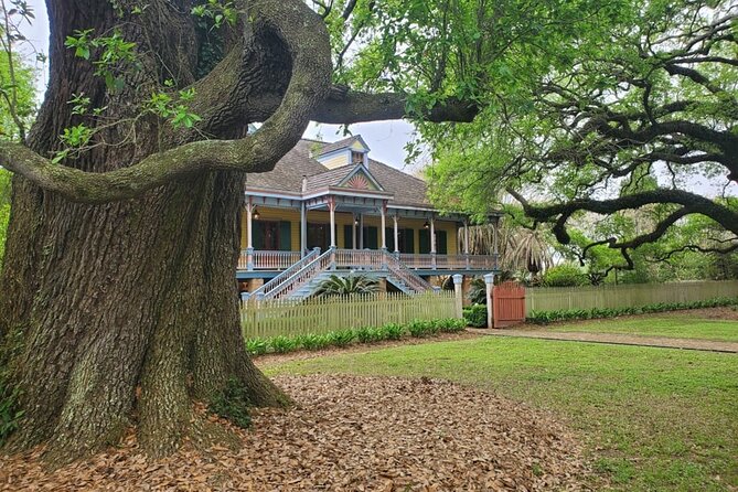 Experience Full-Day Laura Plantation & Pontoon Swamp Tour w/Transportation - Is $140 a Fair Price?