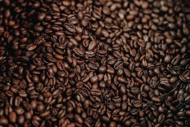 Experience Making specialty coffee in Da Lat City - The garden visit and the human scale of the farm