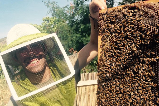 Experience Our Honey Farm And Beekeeping Tour - What happens at 82-1140 Meli Road