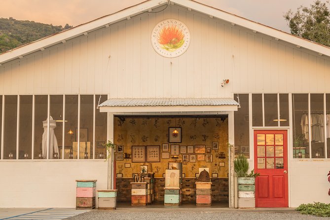 Experience Our Honey Farm And Beekeeping Tour - Who will enjoy this Big Island bee tour