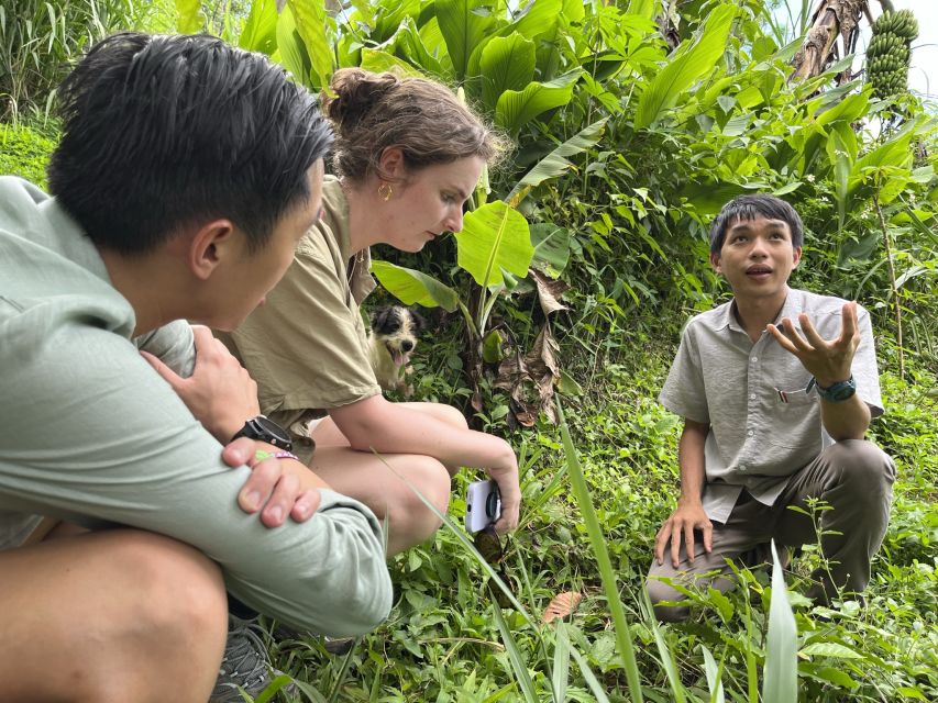 Experience specialty coffee with sustainable coffee farmers - Comparing light, medium, and dark roast