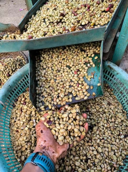 Experience specialty coffee with sustainable coffee farmers - Making a Vietnamese Phin coffee
