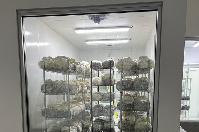 Explore Chicago’s Indoor Mushroom Farm Experience - Arriving at 320 N Oakley Boulevard