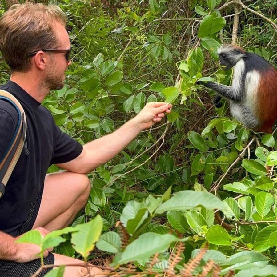 Explore Jozani Forest and Zanzibar Spice Farm - Key points to know before booking
