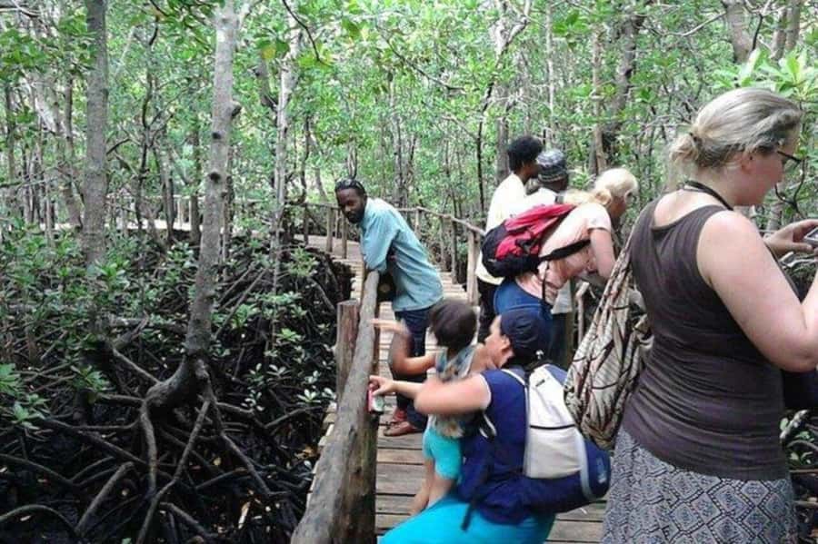 Explore Jozani Forest and Zanzibar Spice Farm - Is $60 good value?