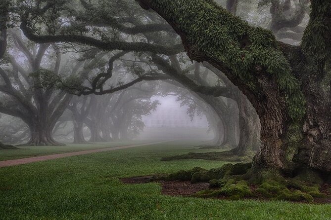 Explore Oak Alley Plantation Guided Tour with Transportation - Is $80 a fair price?