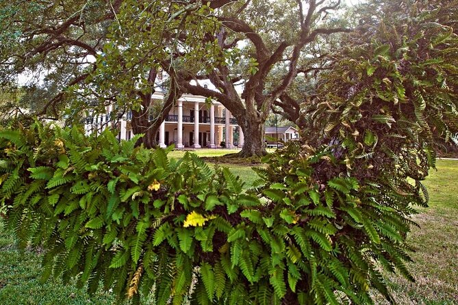 Explore Oak Alley Plantation Guided Tour with Transportation - Walking, weather, and group size