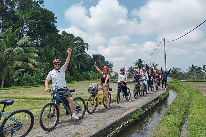 Explore Rice Fields and Hidden Villages with Ubud E-Bike Tour - Key points to know before booking
