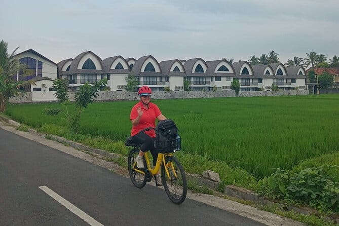 Explore Rice Fields and Hidden Villages with Ubud E-Bike Tour - Why an electric bike works well around Ubud
