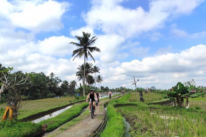 Explore Rice Fields and Hidden Villages with Ubud E-Bike Tour - One hour among the Tegalalang rice terraces