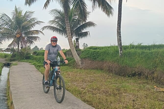 Explore Rice Fields and Hidden Villages with Ubud E-Bike Tour - Who will get the most from this tour