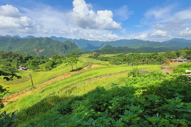 Explore Rice Terrace Pu Luong Ninh Binh Ha Long 4 Days 3 Night - Day 4: A full day among Ha Long Bay’s limestone islands
