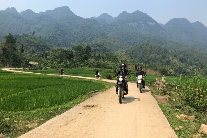 Explore Rice Terrace Pu Luong Ninh Binh Ha Long 4 Days 3 Night - Who should book this Pu Luong, Ninh Binh, and Ha Long Bay tour?
