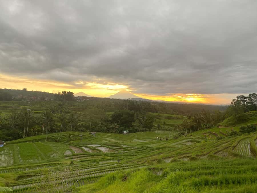 Explore rice terraces munduk & waterfall trekking experience - What the $32 price really covers