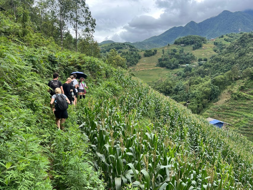 Explore Sapa by TrekkingAdventures, Mountain,Rice fields - Key points at a glance