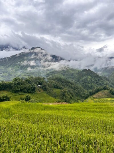 Explore Sapa by TrekkingAdventures, Mountain,Rice fields