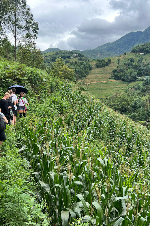 Explore Sapa by TrekkingAdventures, Mountain,Rice fields - Is $23 a fair price?