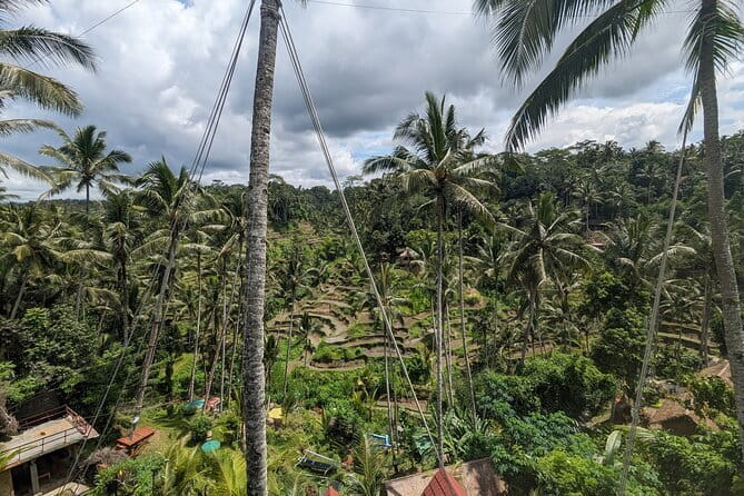 Explore Ubud Art Market, Monkey Forest and Rice Terraces - Sacred Monkey Forest and ancient temple grounds