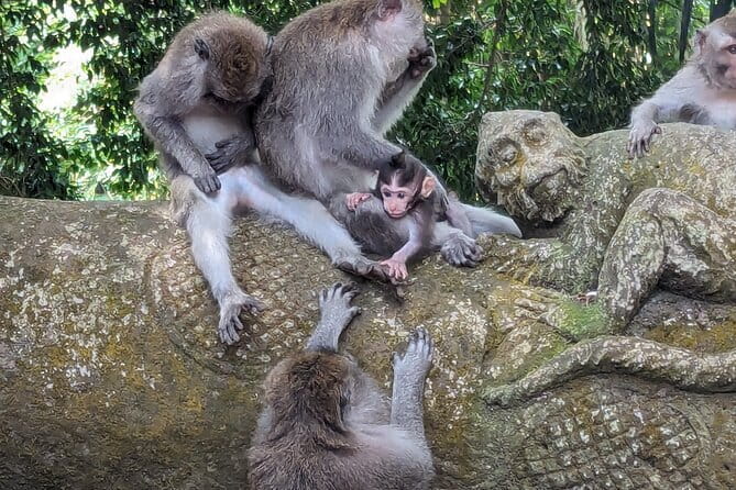 Explore Ubud Art Market, Monkey Forest and Rice Terraces - Happy Swing Bali and the photo factor