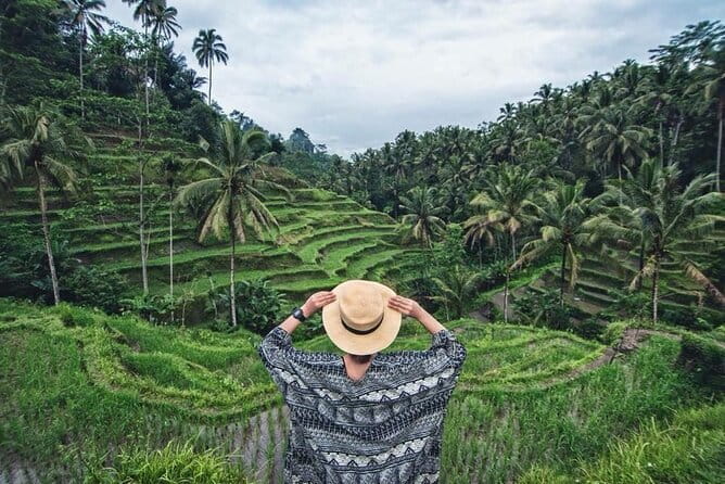 Explore Ubud Art Market, Monkey Forest and Rice Terraces - Ubud Sari Coffee Luwak Agrotourism