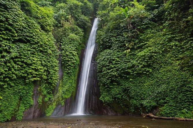Exploring Munduk Village (Waterfalls, rice terrace, Traditional local house) - Key points to know before booking