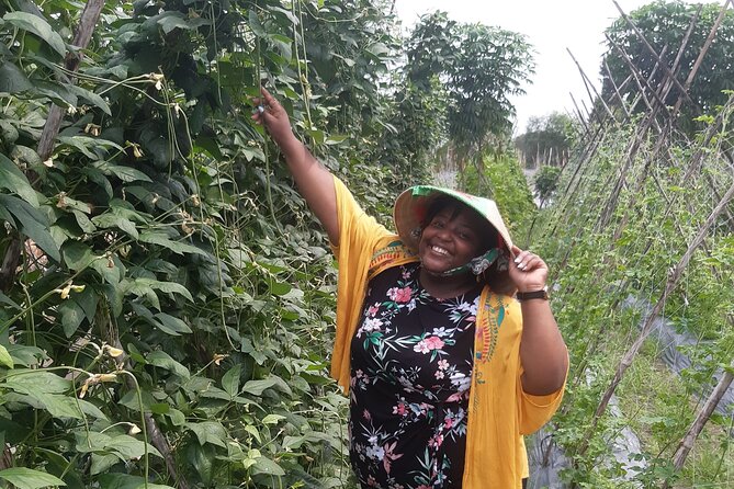 Exploring organic farm & Vietnamese Culinary with Master chef - Walking the farm and choosing your ingredients