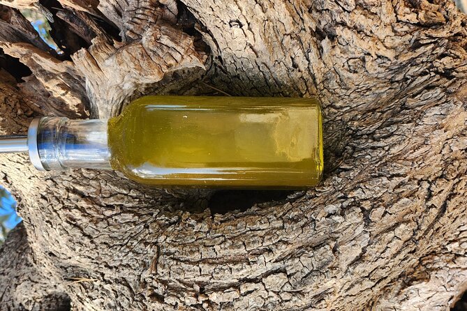 extravirgin olive oil tasting,the story of a farm - Who will enjoy La Caseddha most?