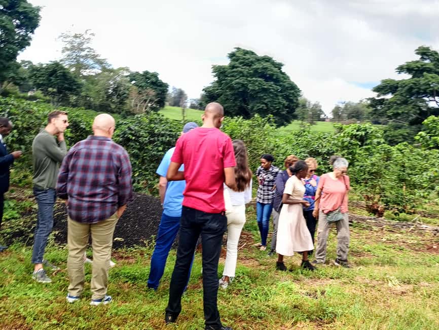 FAIRVIEW COFFEE FARM DAY TOUR - The 30-minute ride from Nairobi